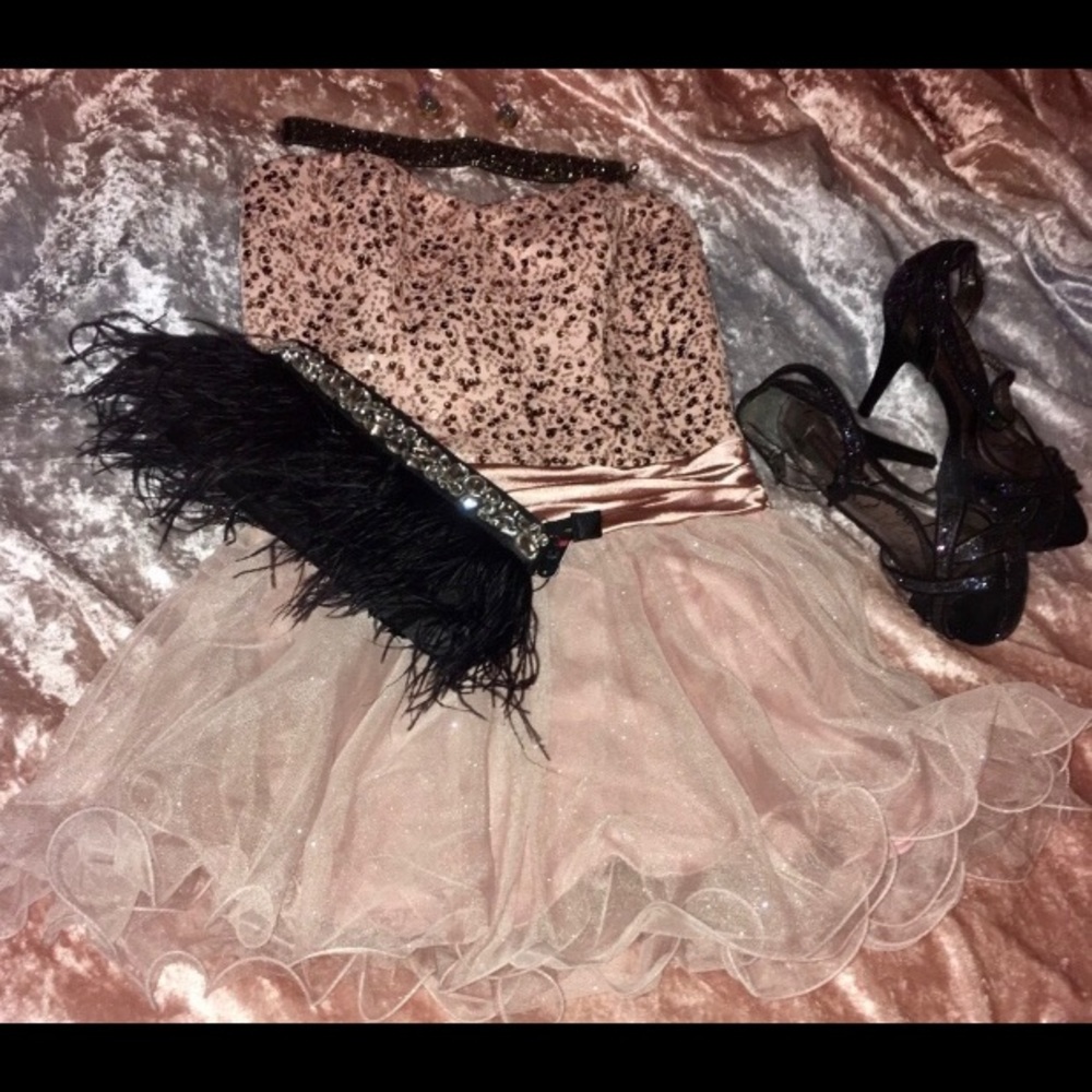 New Charming Charlie’s evening purse!